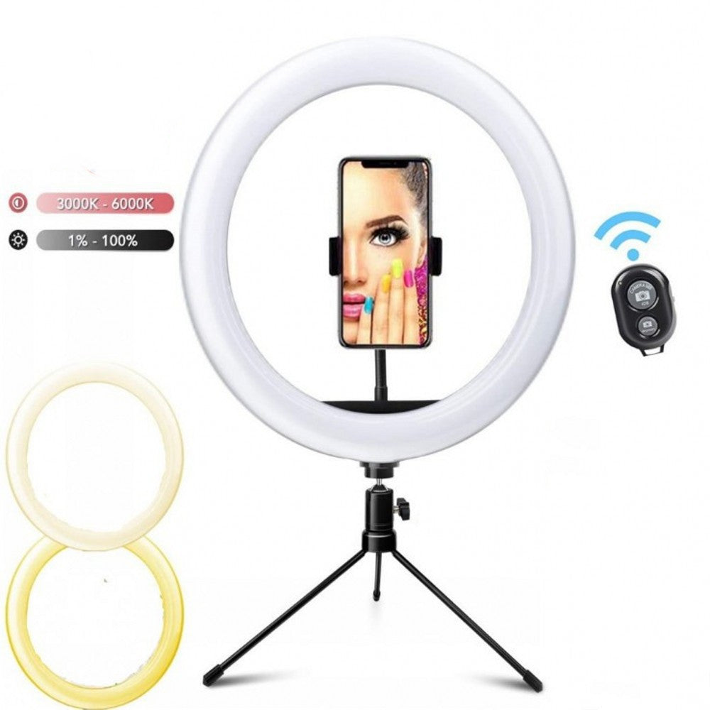 10 inch Selfie whitening light Ring Light